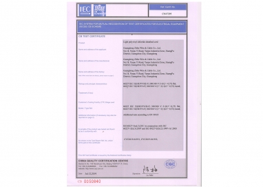 用于相互識別埃及設備的測試證書（IECEE）cB方案