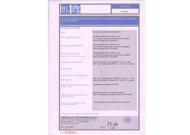 用于電氣設備測試證書（IECEE）相互識別的IEC系統(tǒng)cB方案